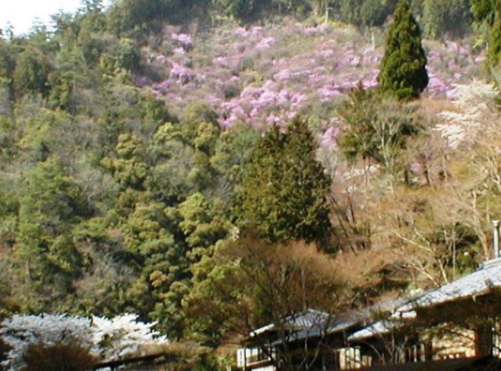 Takao Kanko Hotel Kyoto Eksteriør bilde